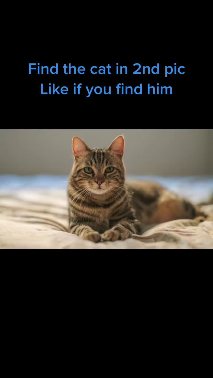 @user4407107197890