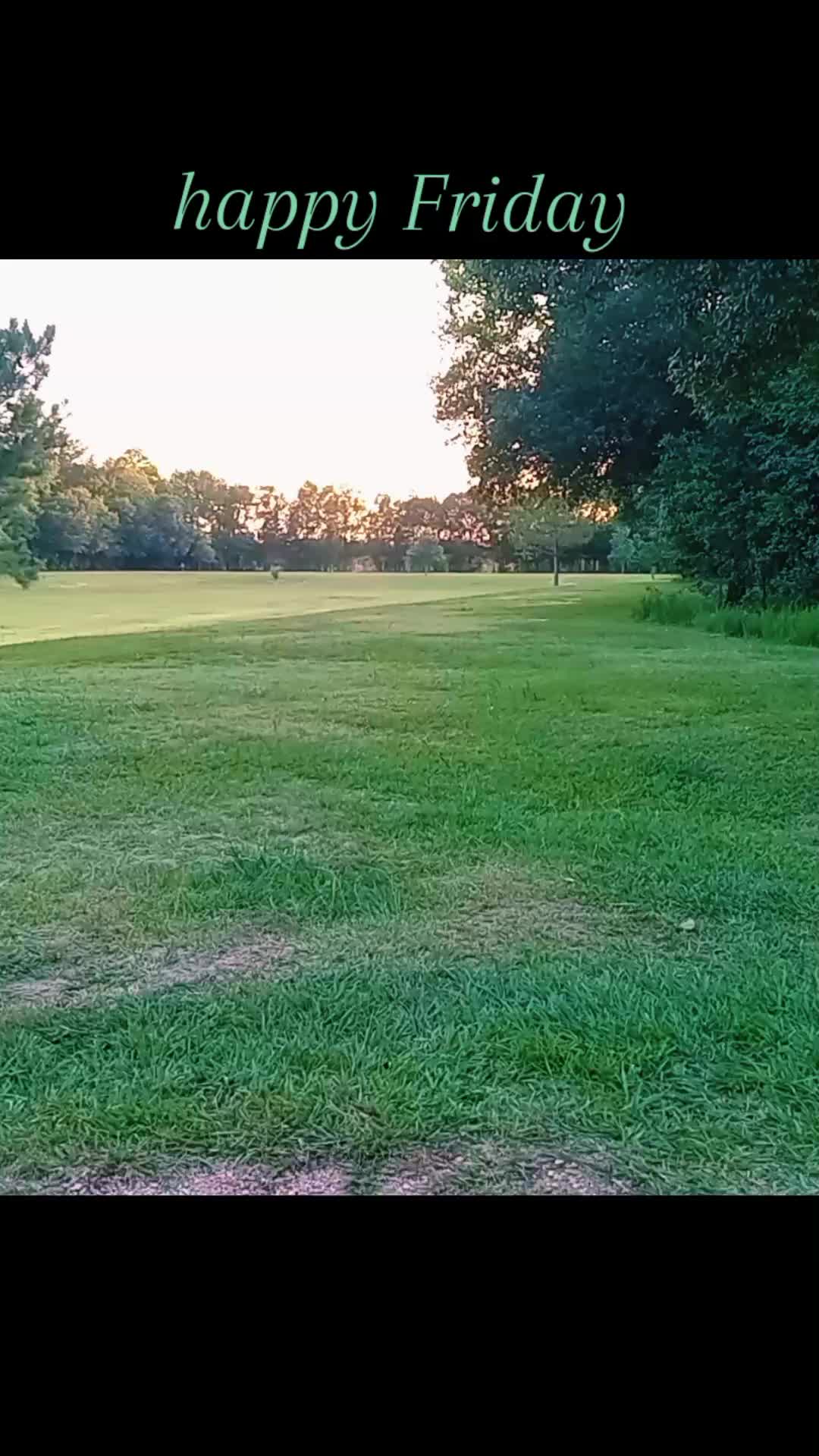 @MACIAS_DISCGOLF