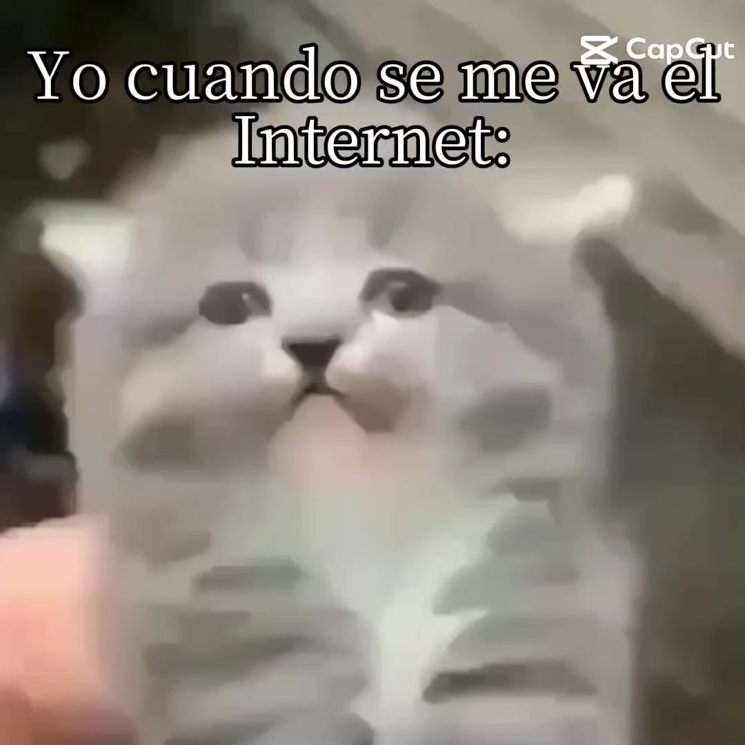 @christocrack0159xddd