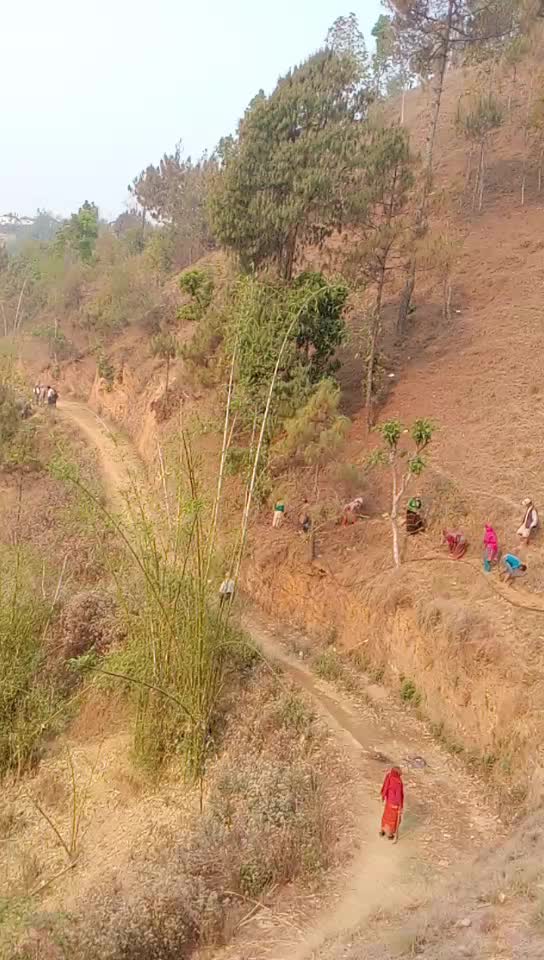 @Dhana Neupane