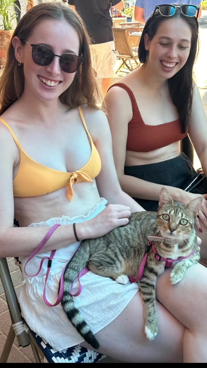 @thatcutecat