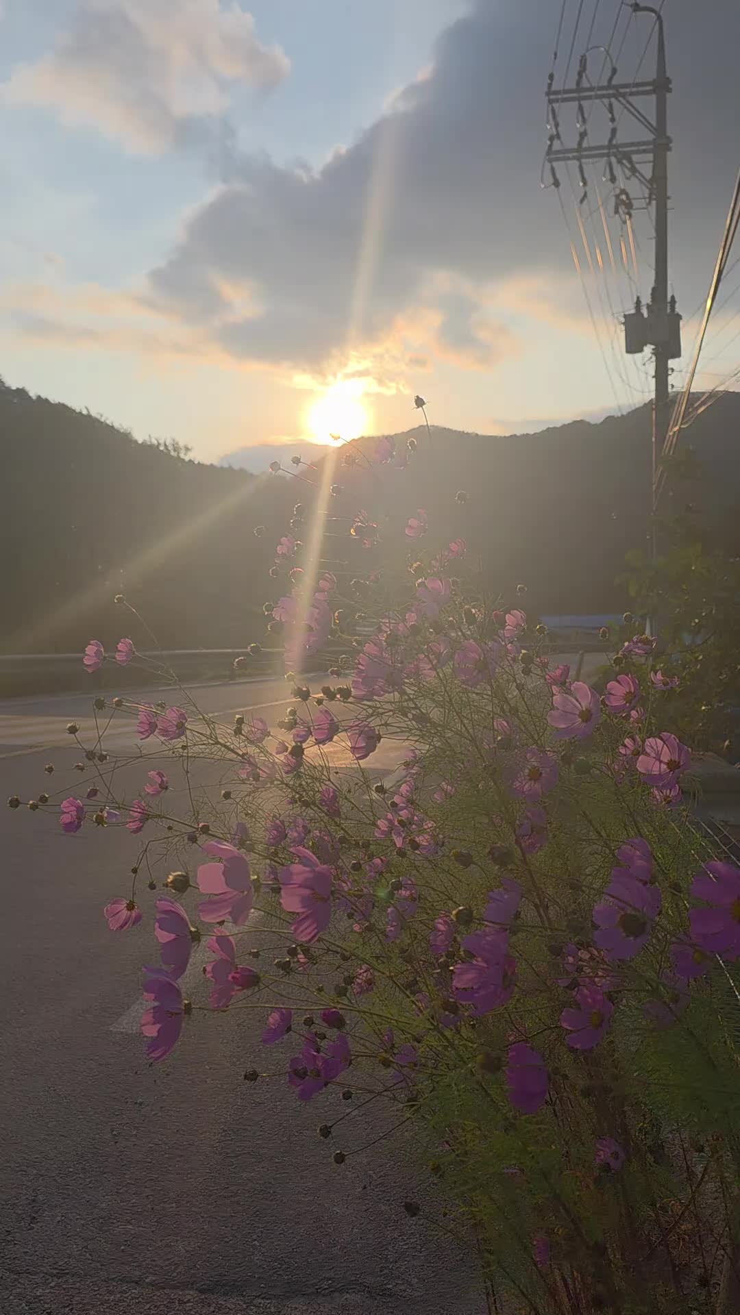 @유튜브 "정선사람들" 안용현