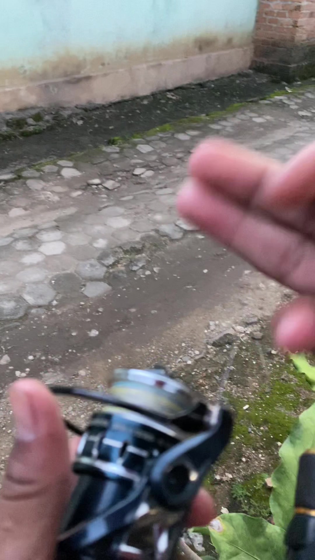 @stecu Fishing