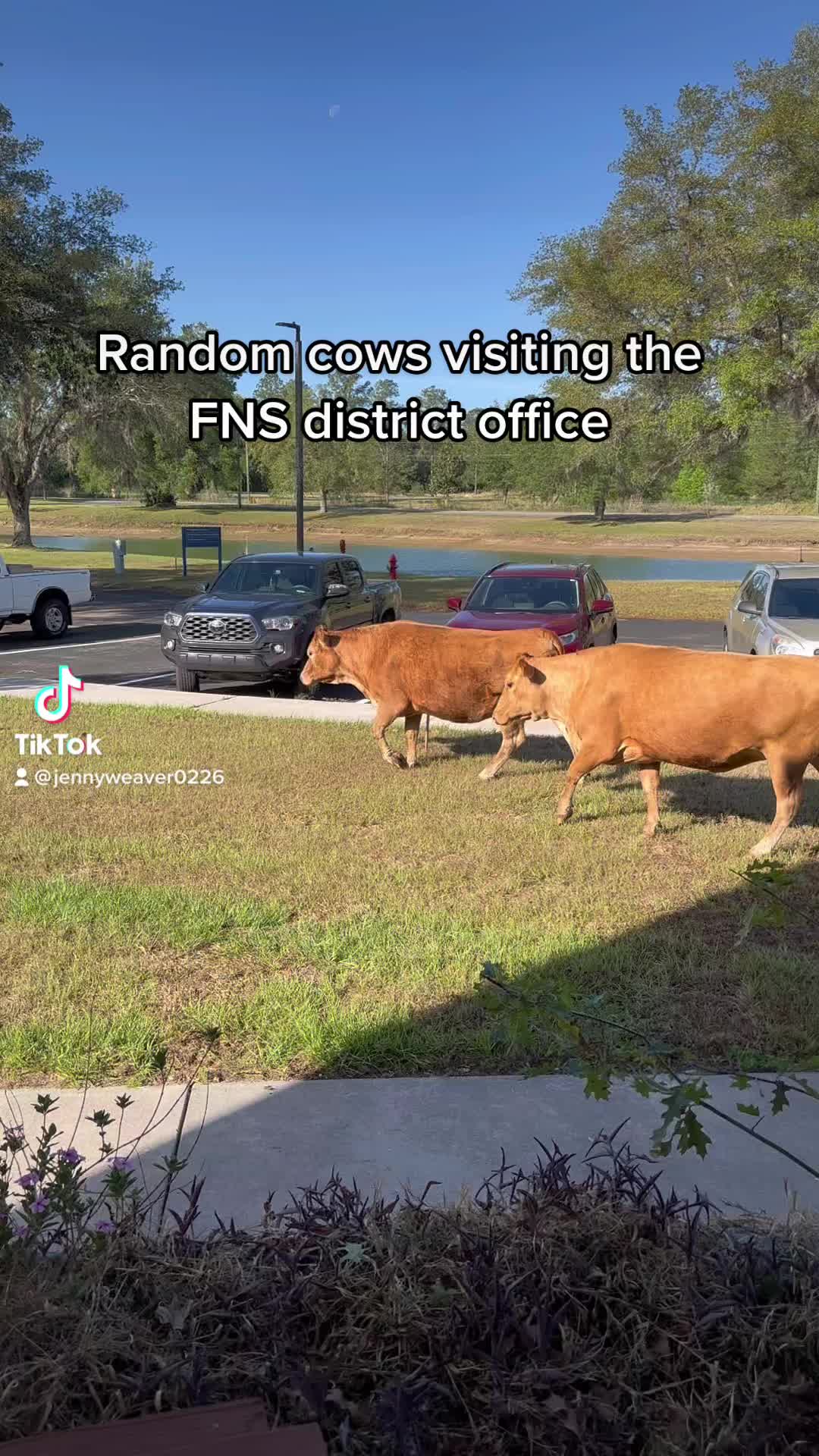 @Hernando_School_Food