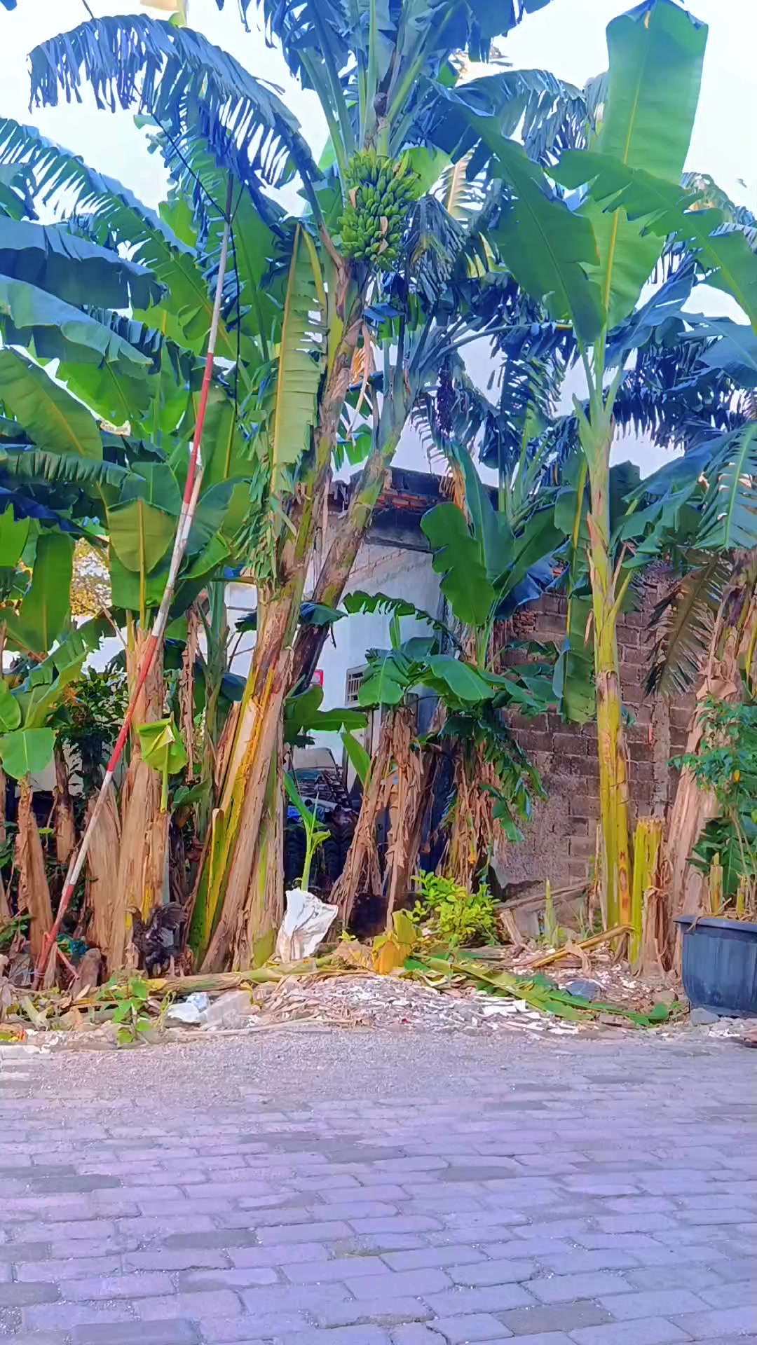 @Tokke Rongit Sihotang