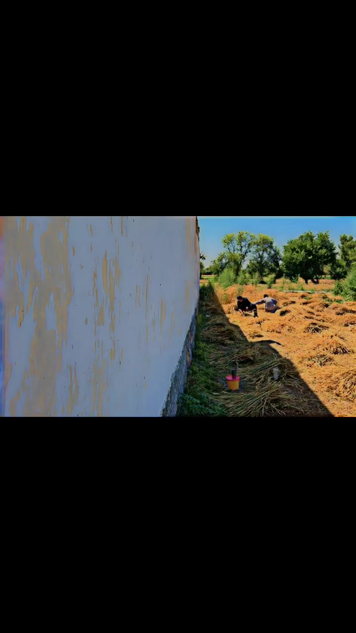 @𝐏 𝐀 𝐍 𝐀 𝐃 𝐎 𝐋-💊