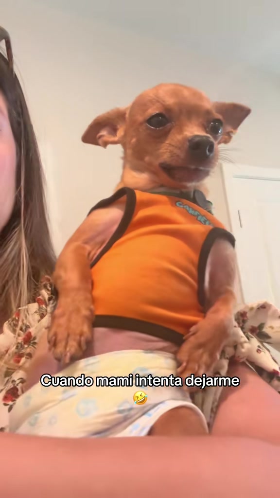 @Gloria Hernandez