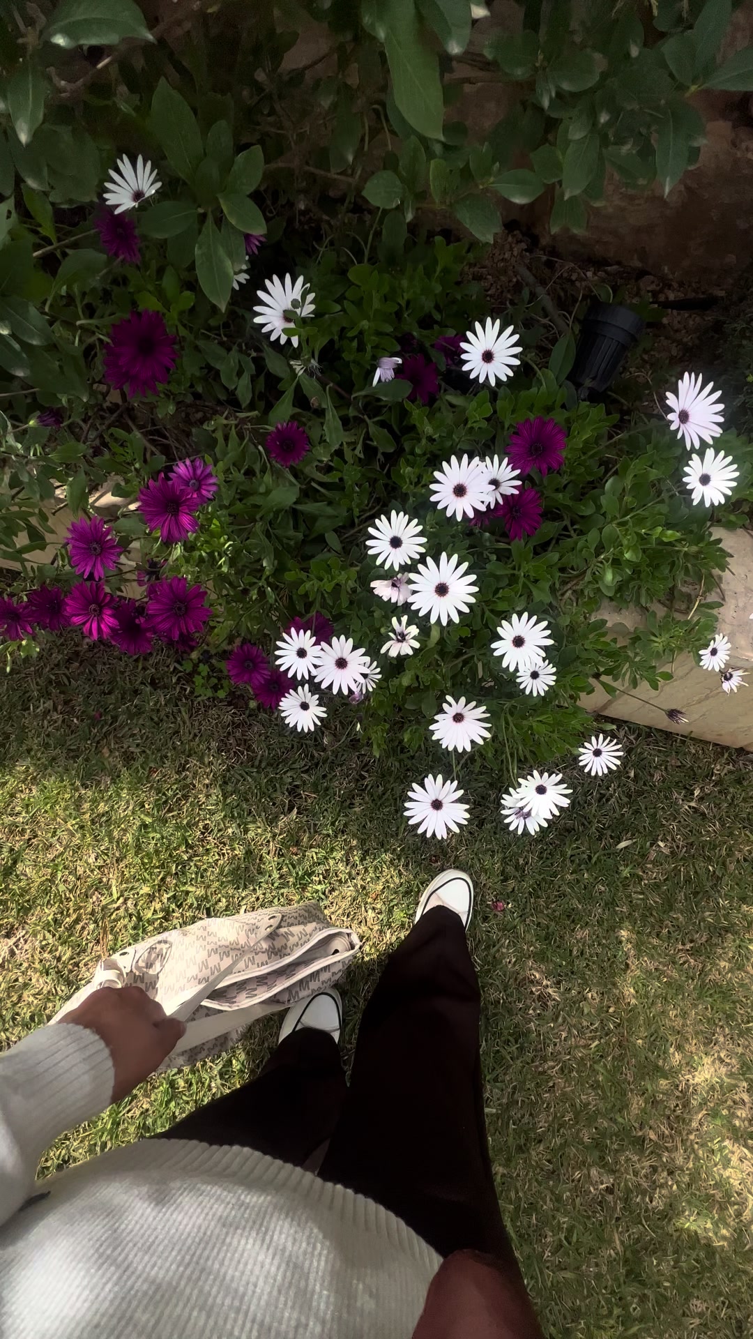 @༊෴✿سہارة✿〄