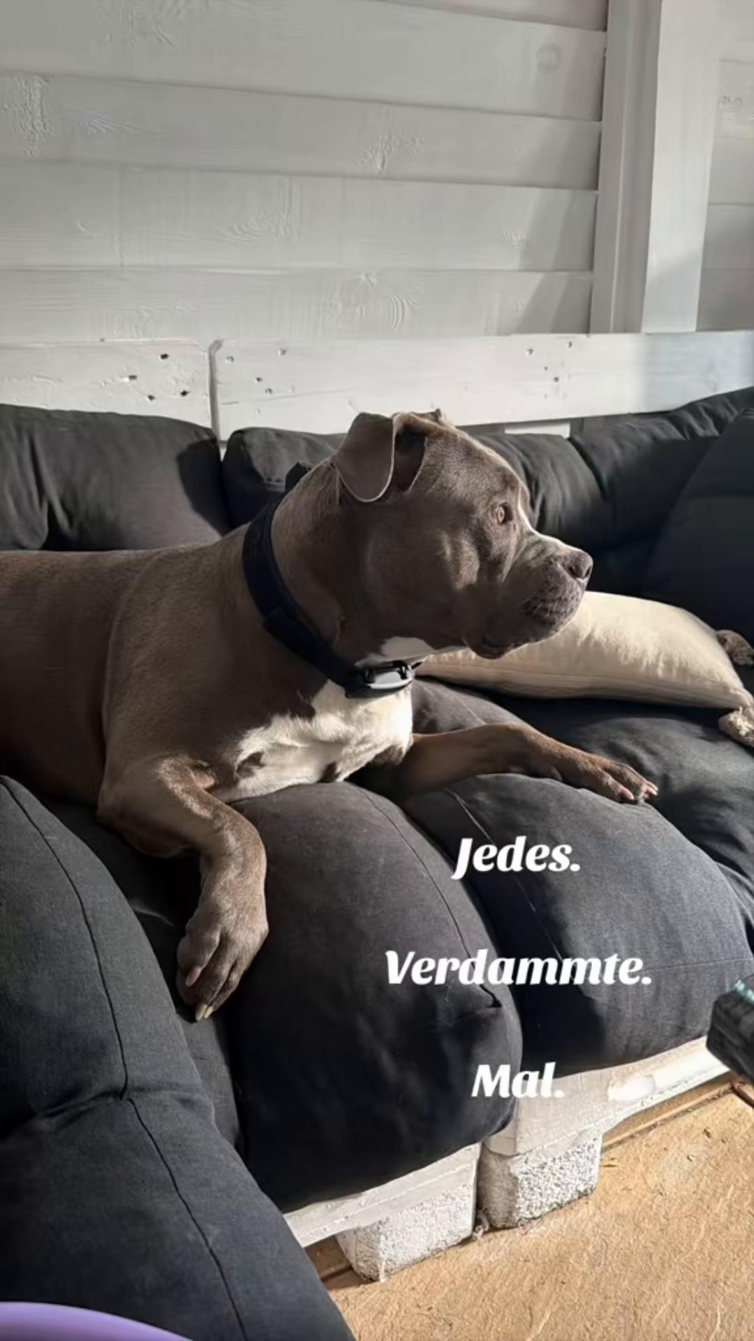 @romeo.der.bully