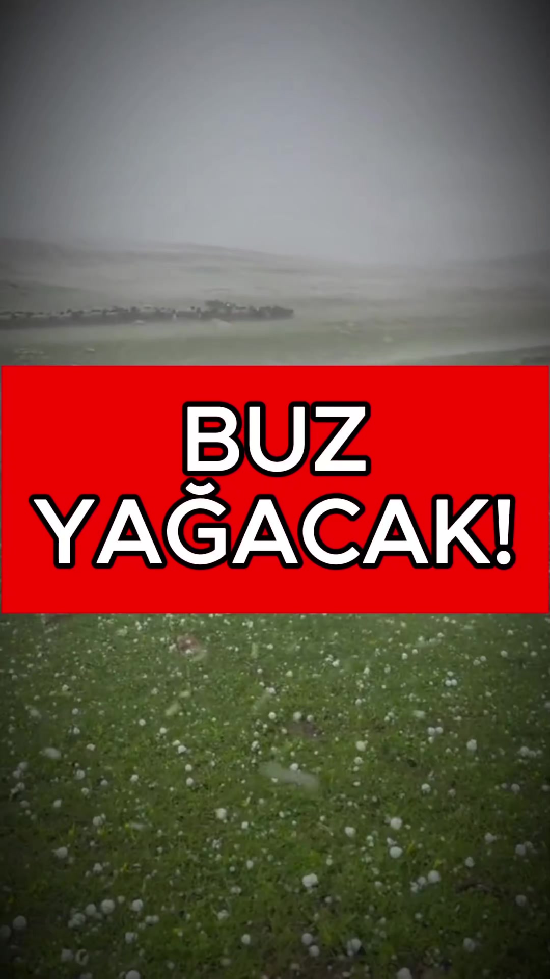 @Havadar