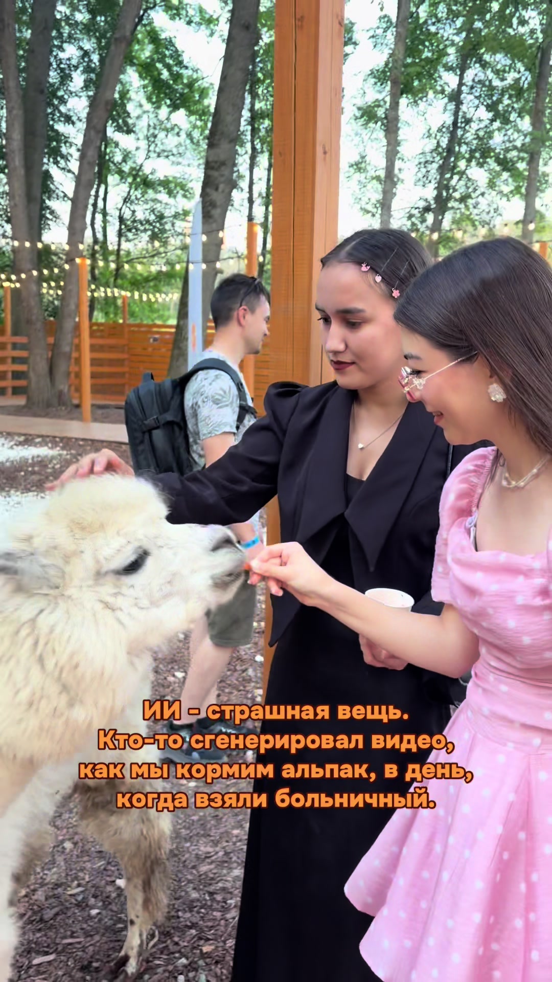 @тгк: минипекка?
