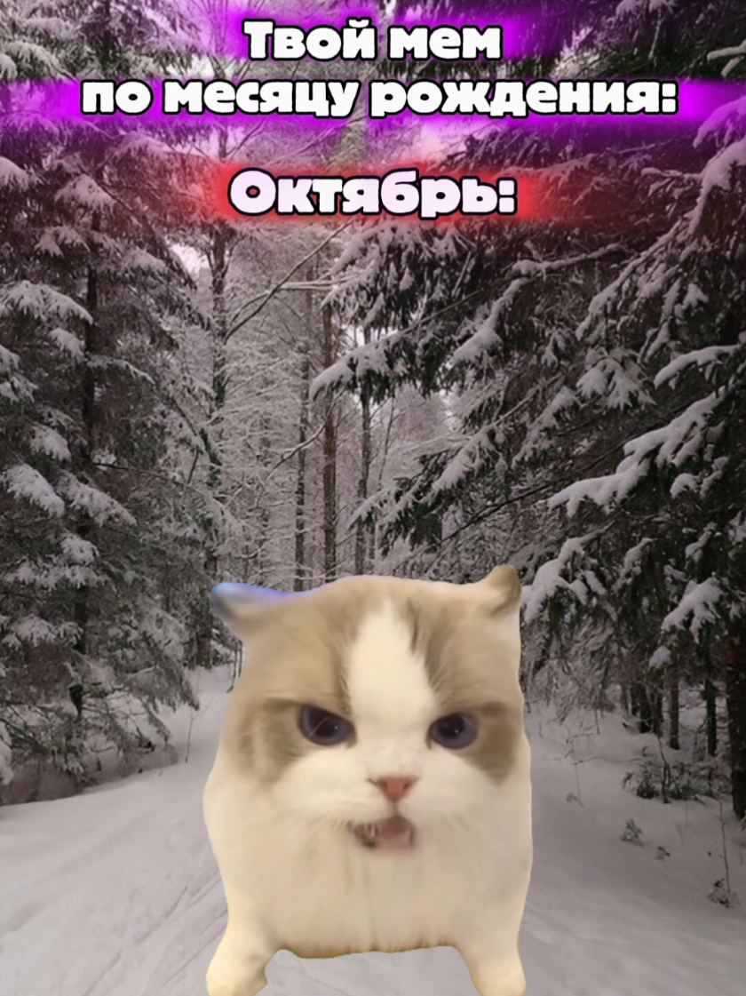 @MisterCat