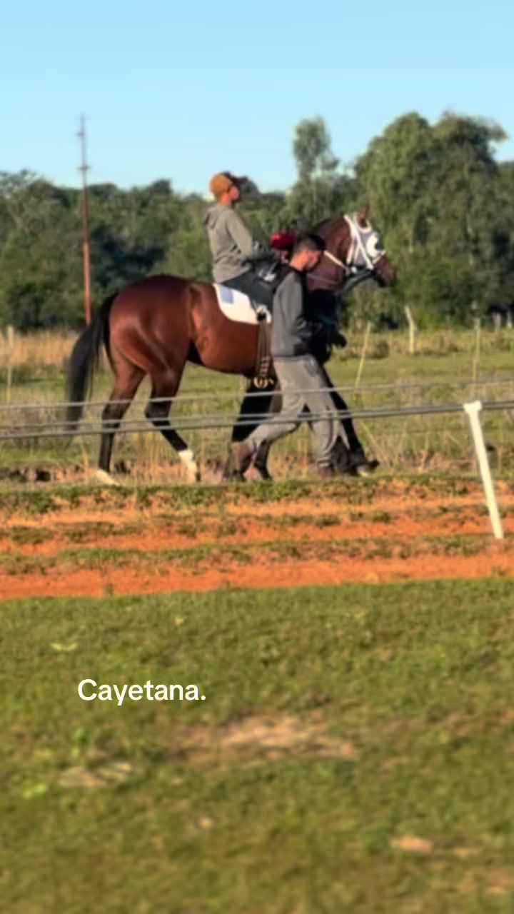 @hip&oacute;dromo Yataity Guair&aacute;.