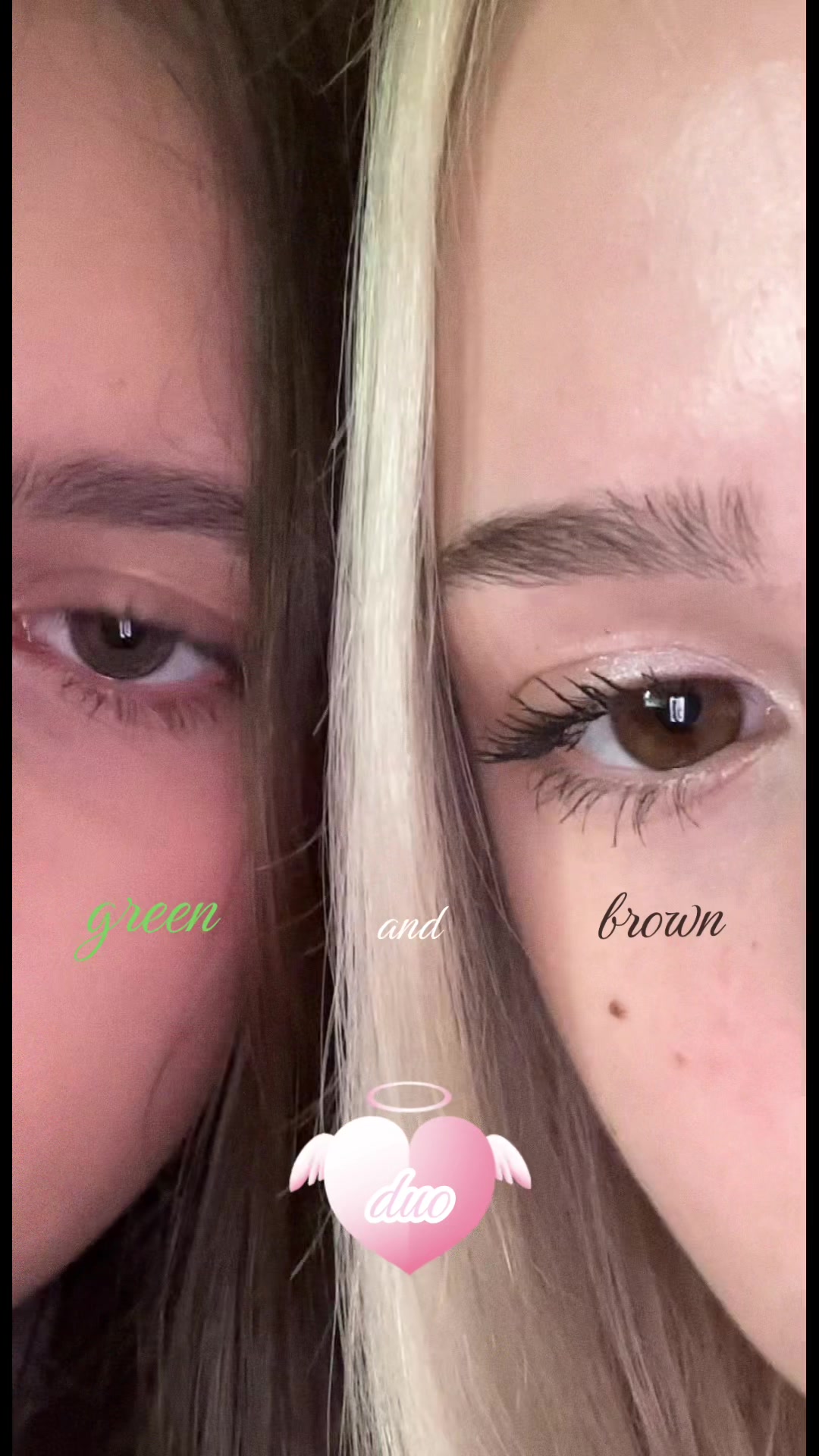 @𝓨