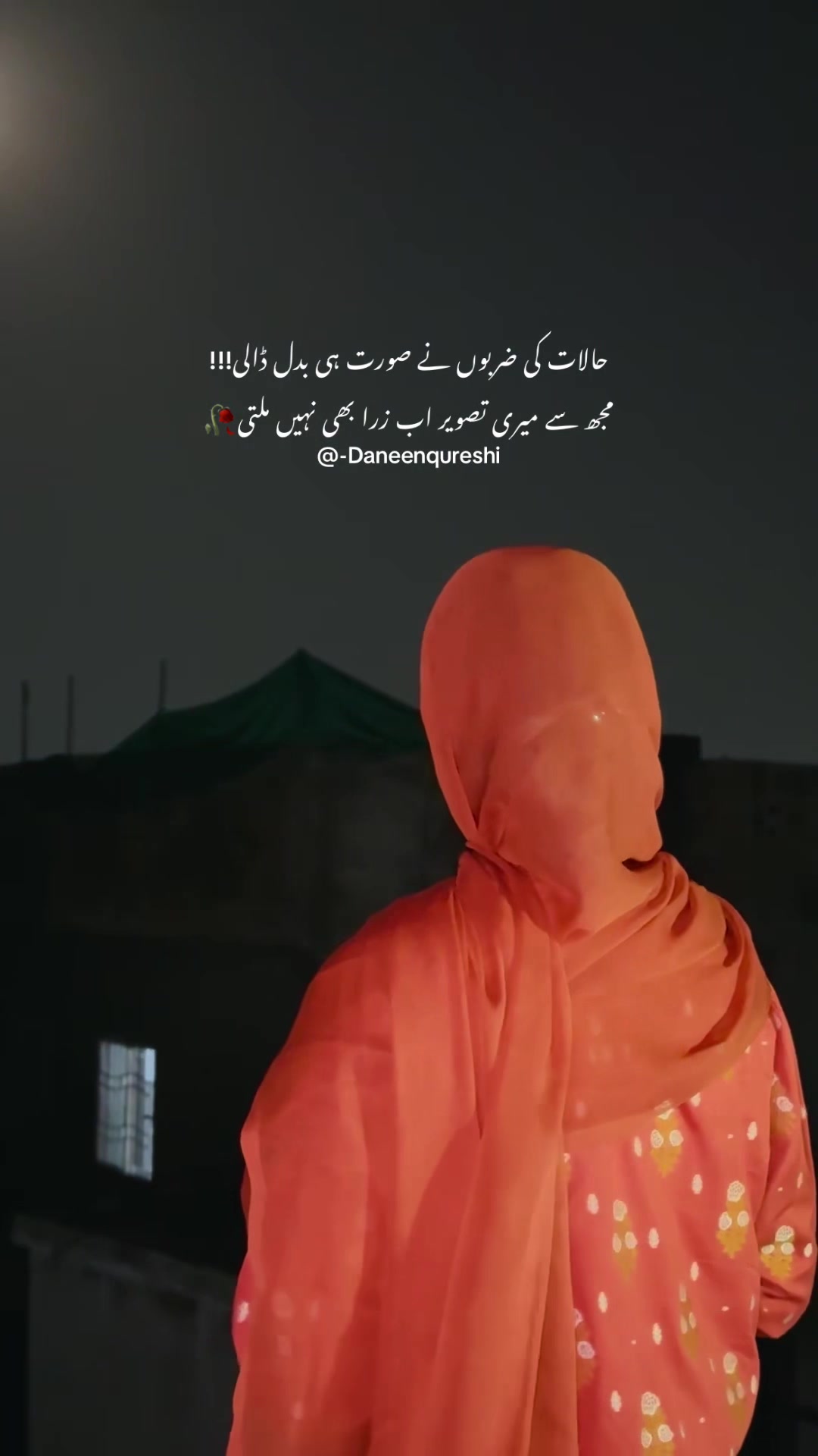 @daneen qureshi