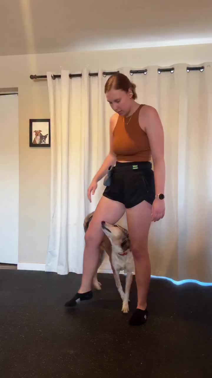 @Marissa | K9 Fitness Coach 🐾