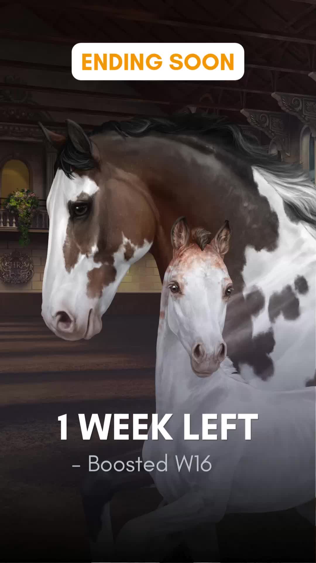 @Horse Reality