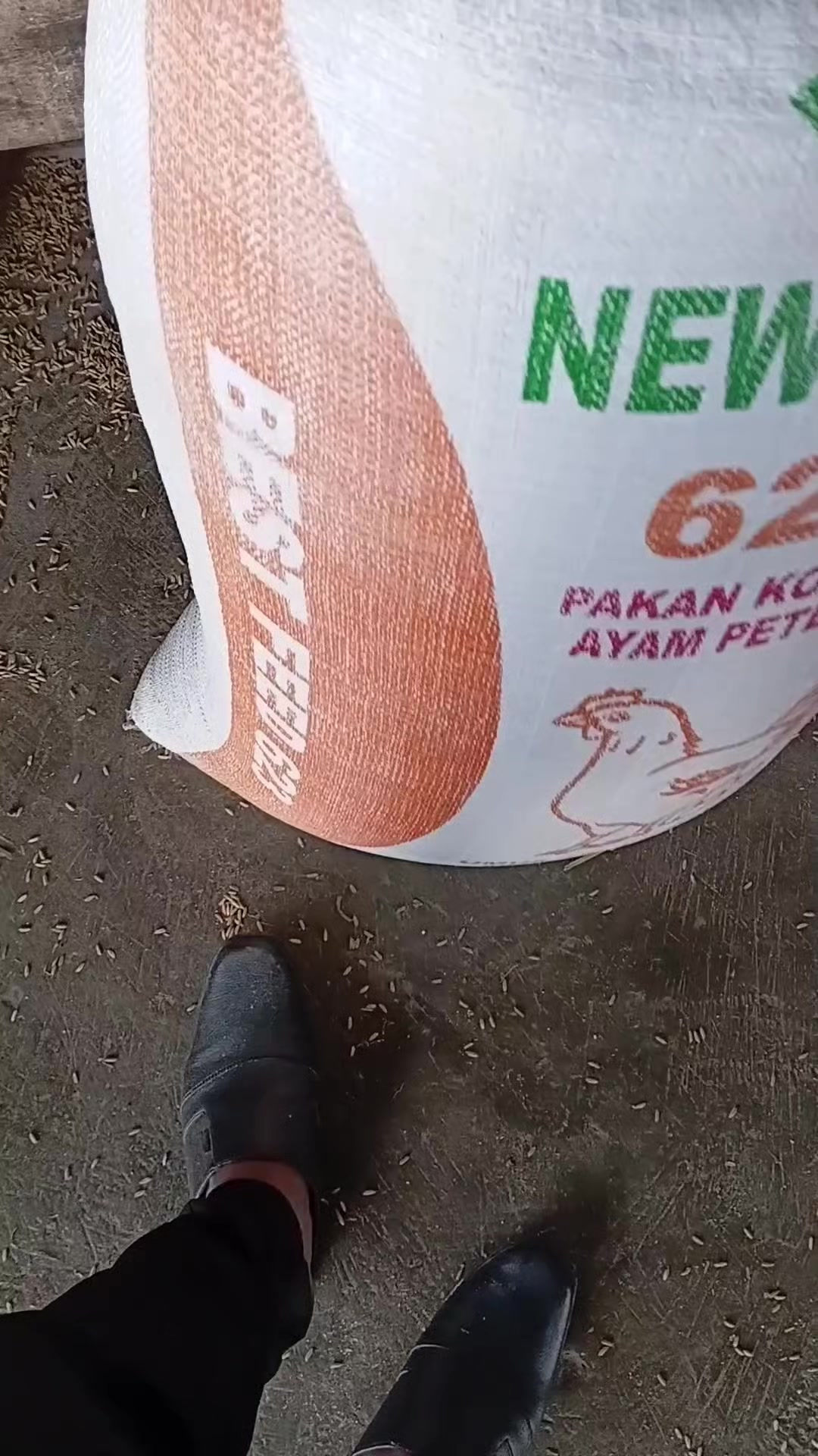 @Legenda Rasamala