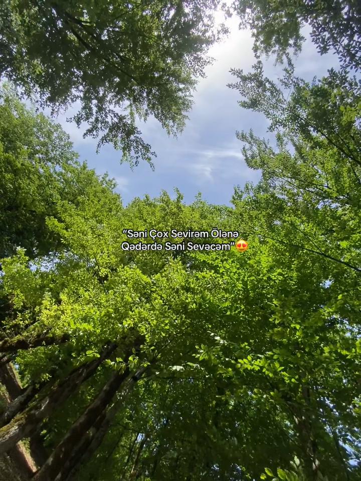 @𝐅𝐚𝐦𝐢𝐥❤️&zwj;🩹🩹