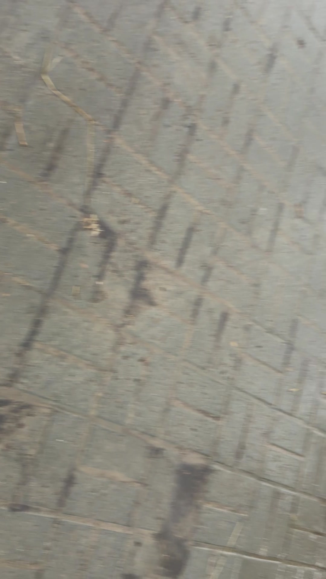 @ناصر بن محمد 🐎🤍