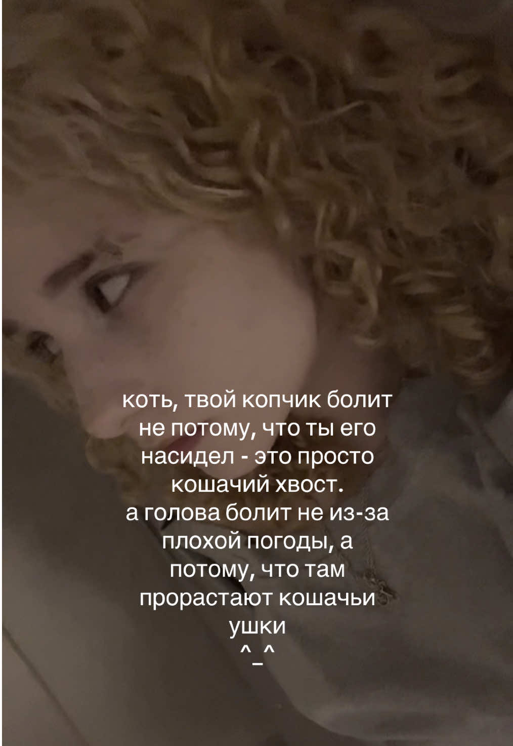 @wsdeesd