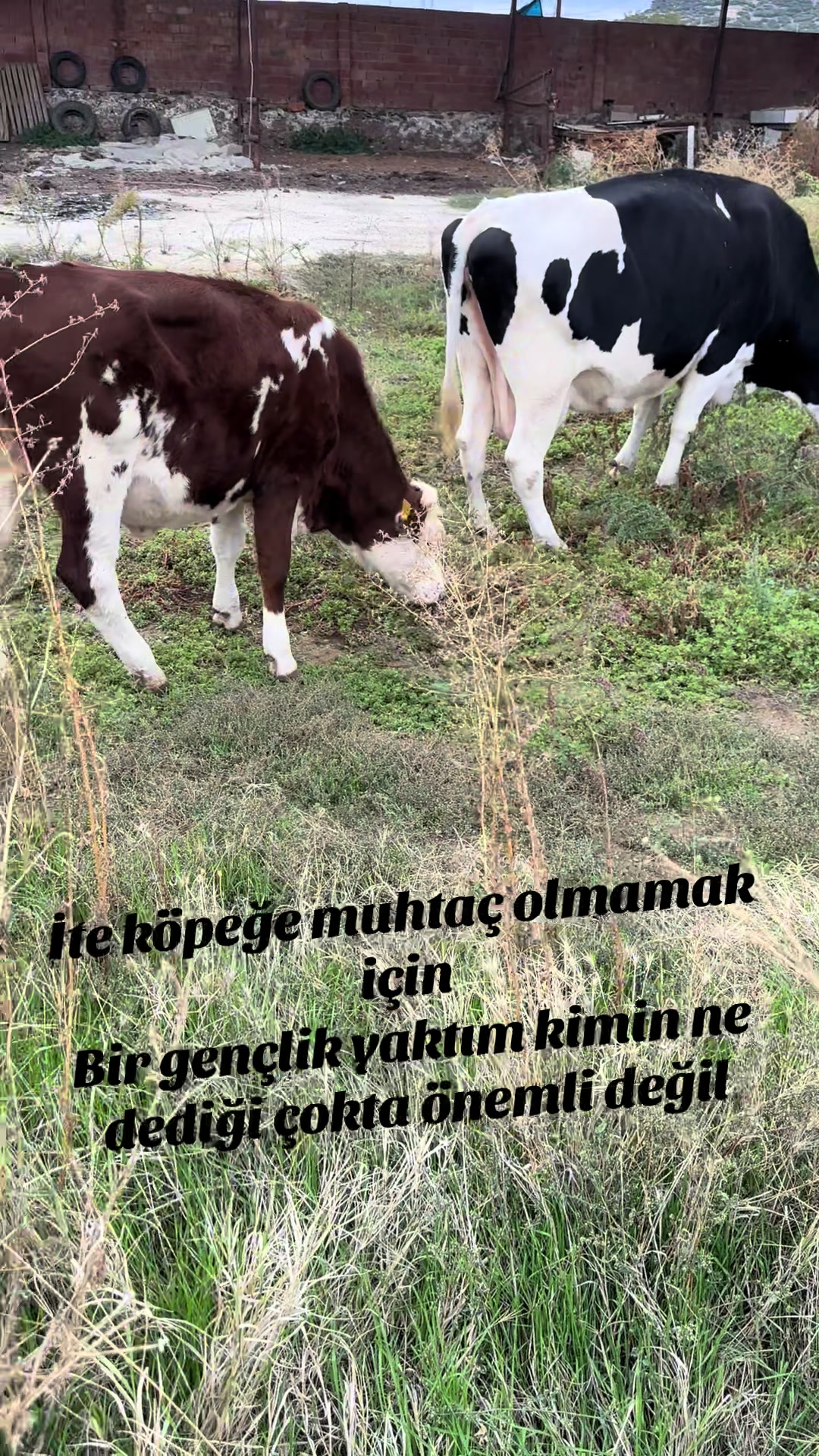 @Kasap_Gokhan94