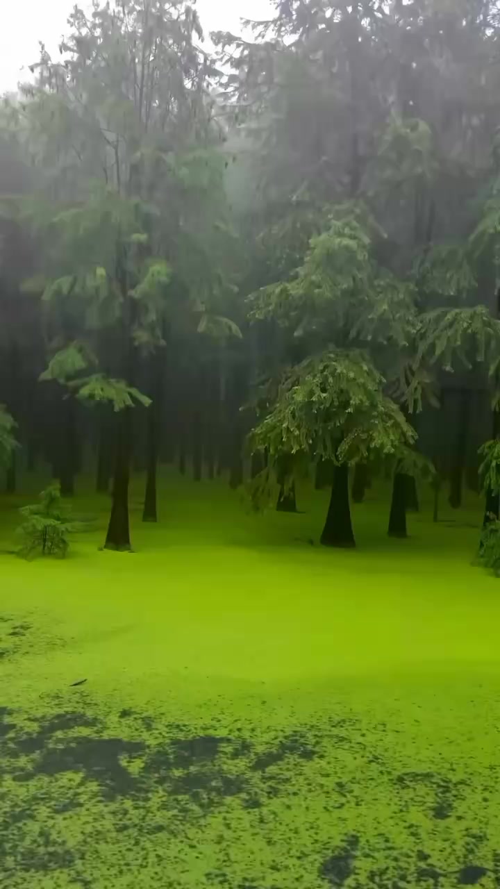 @أثر القرآن