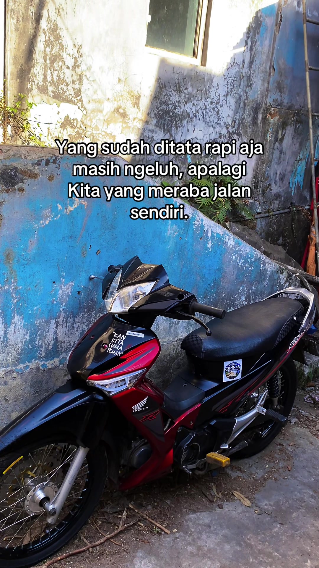 @Tempe QINNAN
