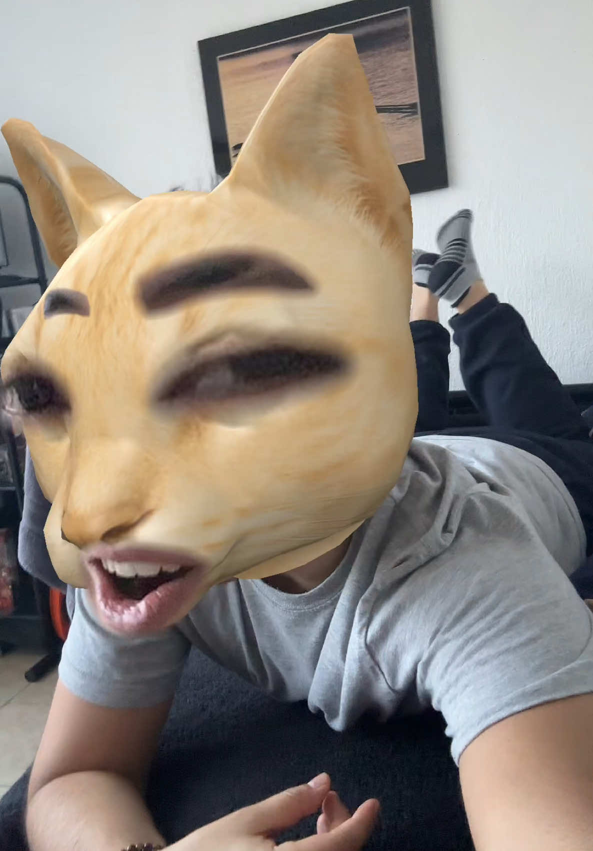 @barushboys