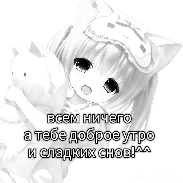 @shiki.void