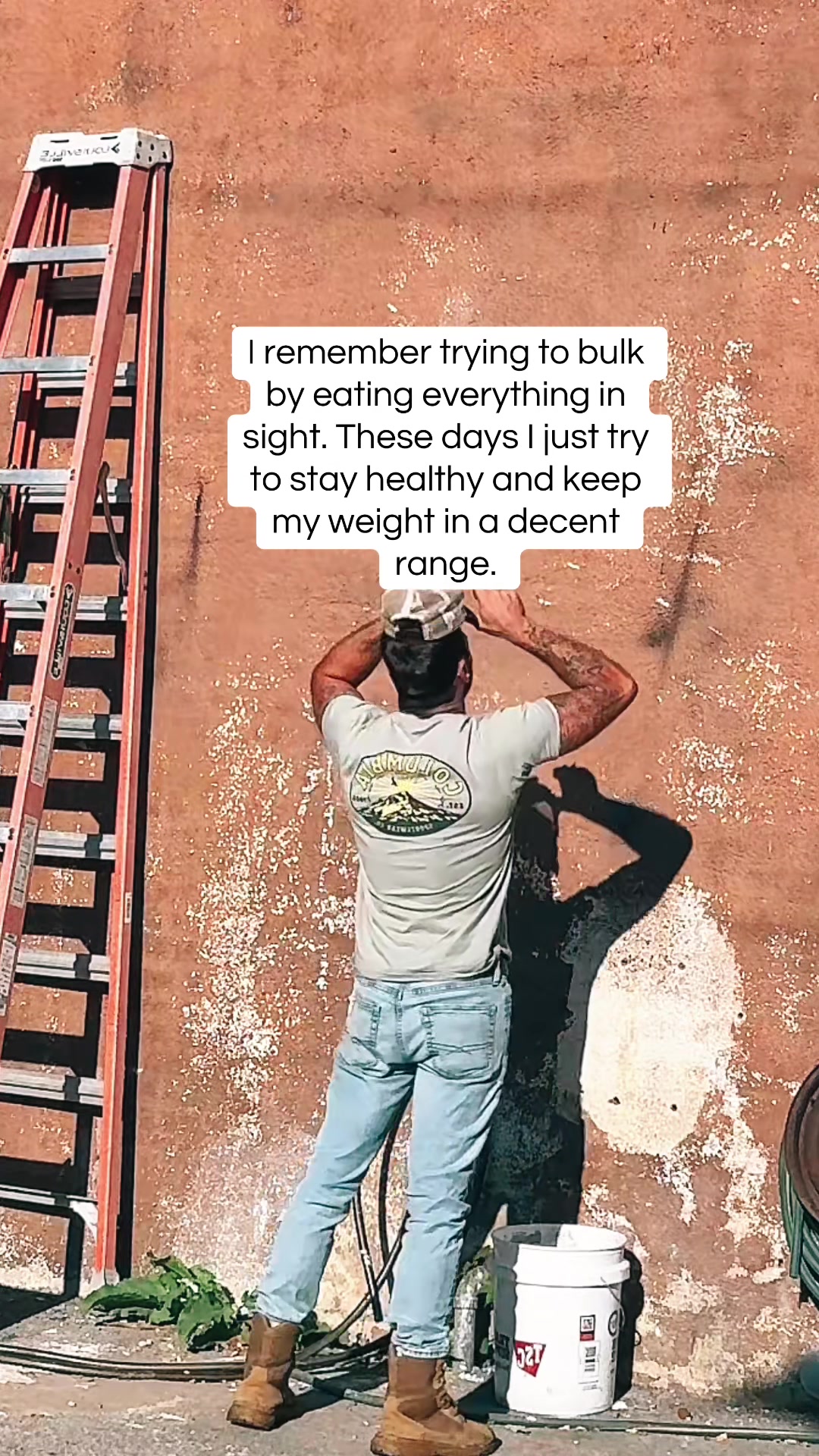 @Vanillagorilla🦍