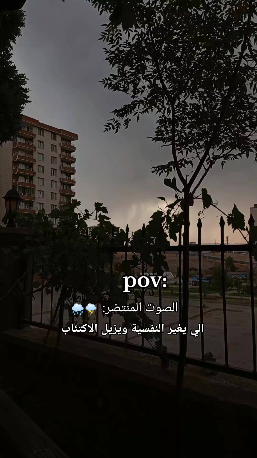 @🇹🇷🕊بنت الموصل 👑🇮🇶