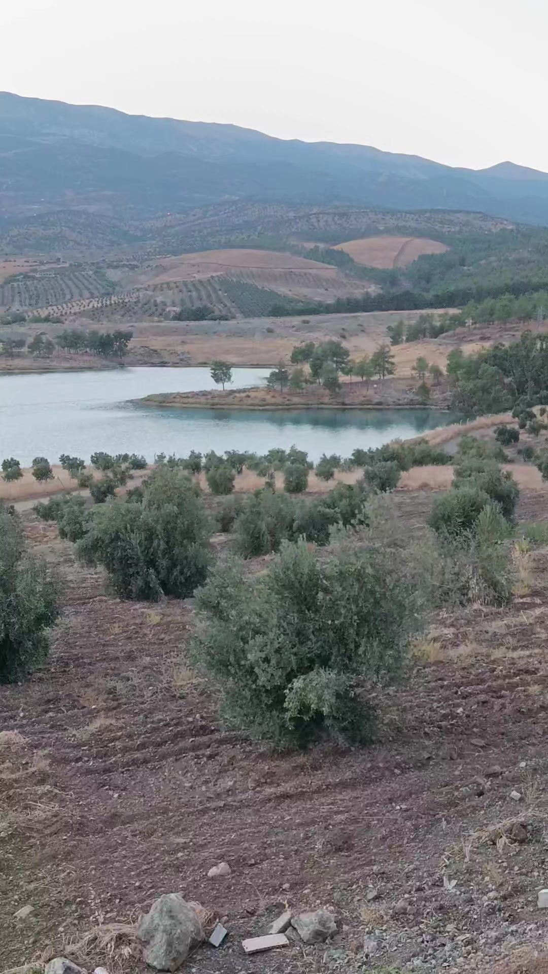 @Hakan Elitaş