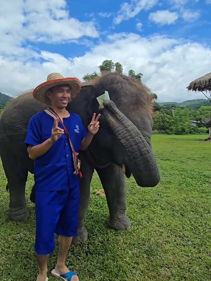 @ควาญแดง พลายภูพิงค์