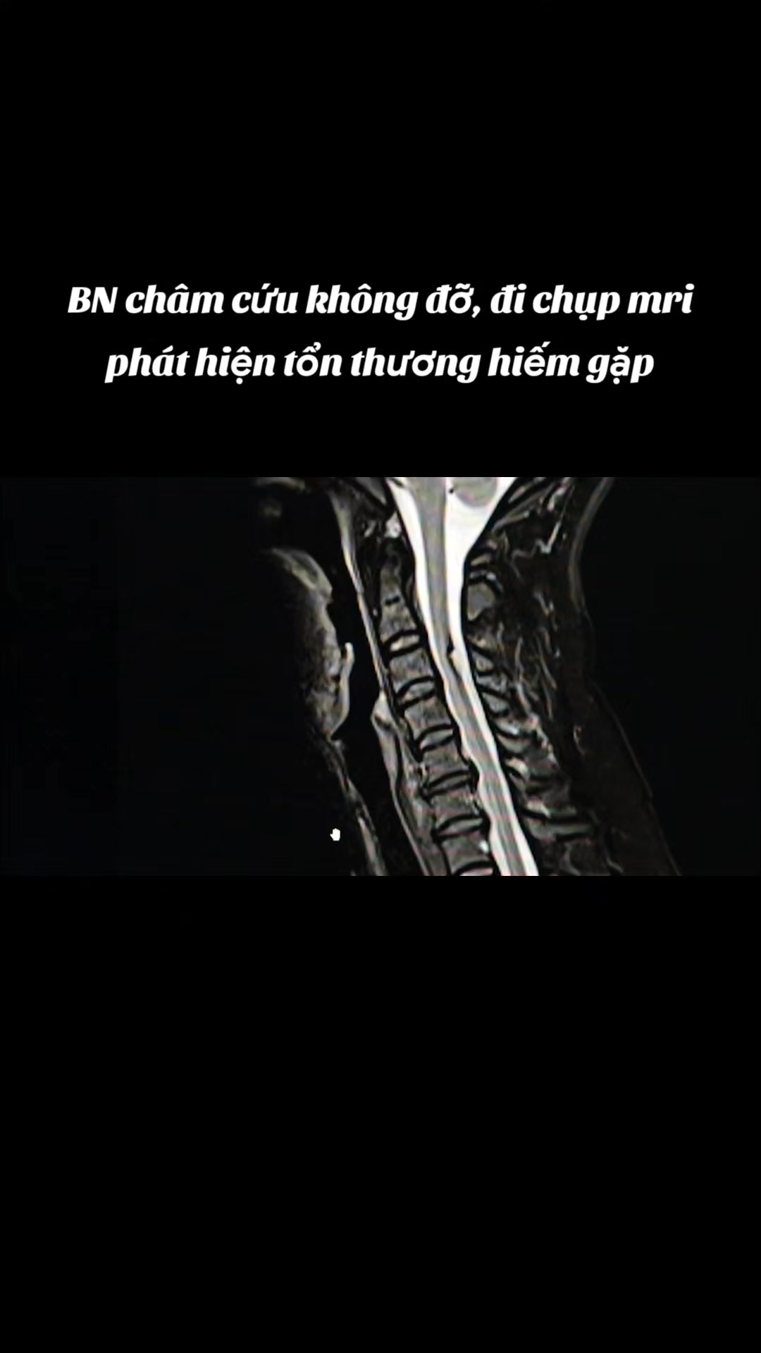 @Nguyễn Văn T&ugrave;ng