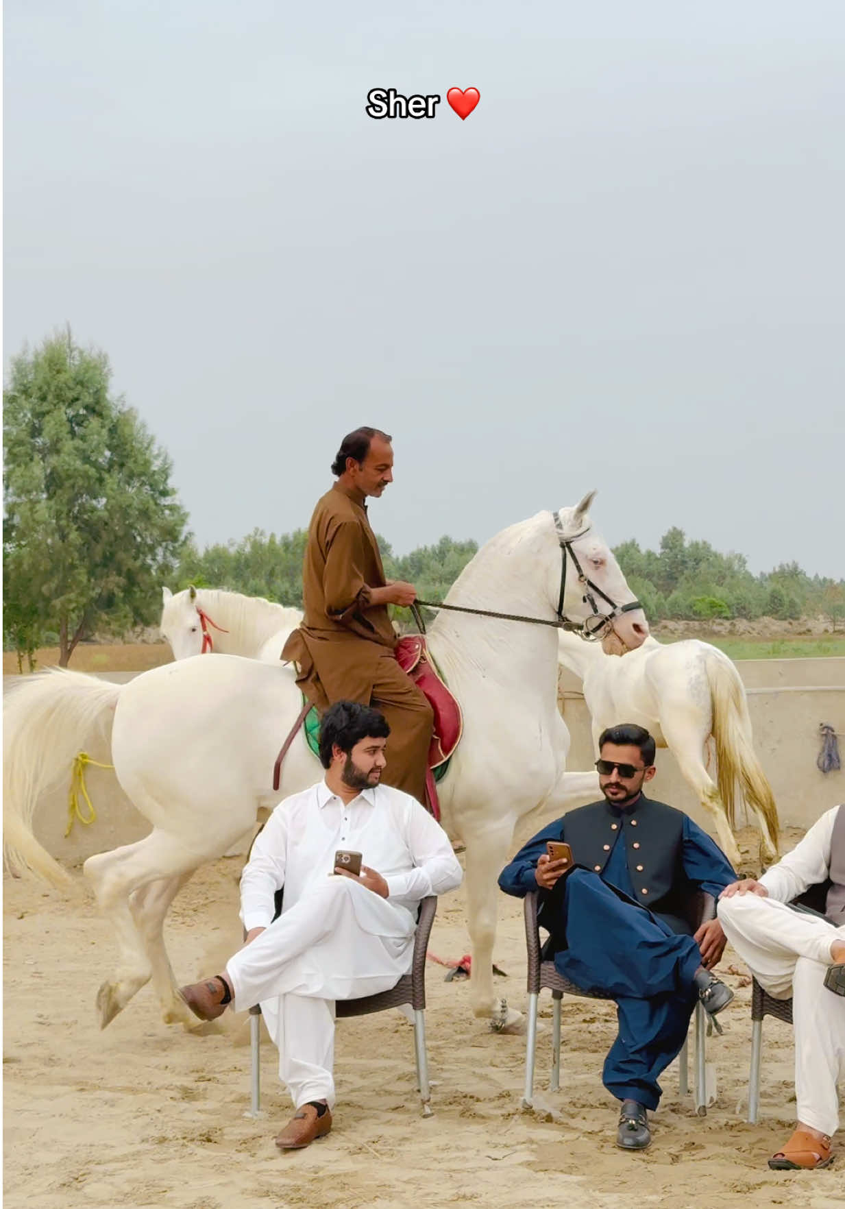 @Tanseer_Raza_Baloch_Adv⚖️