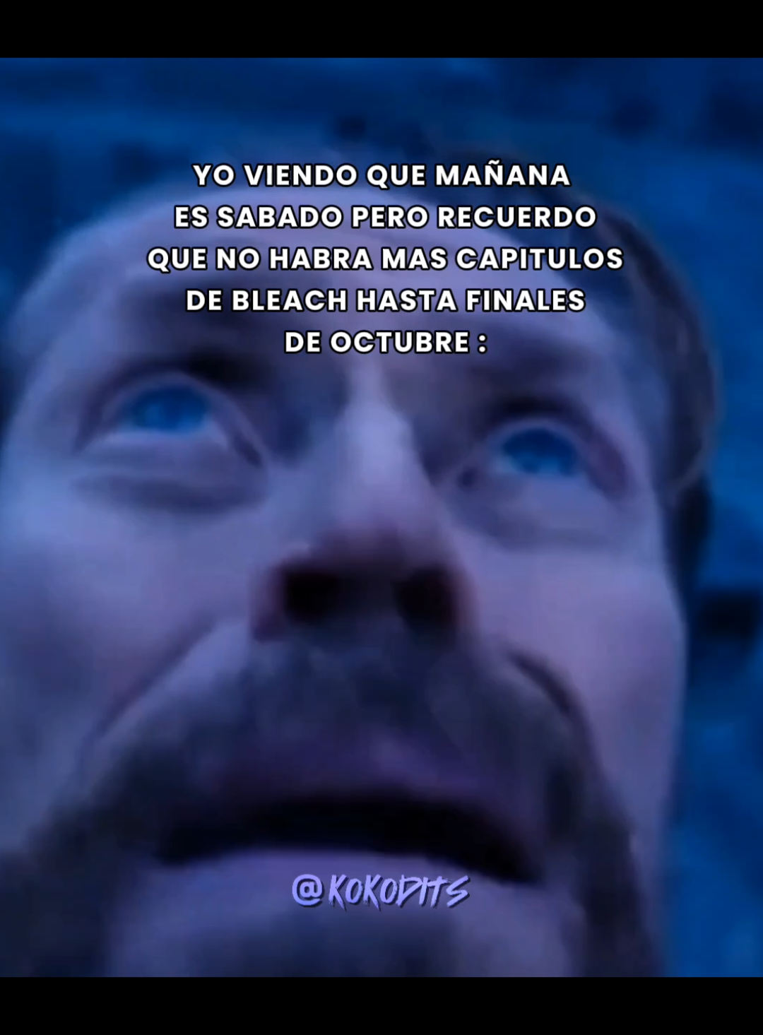 @KOKODITS