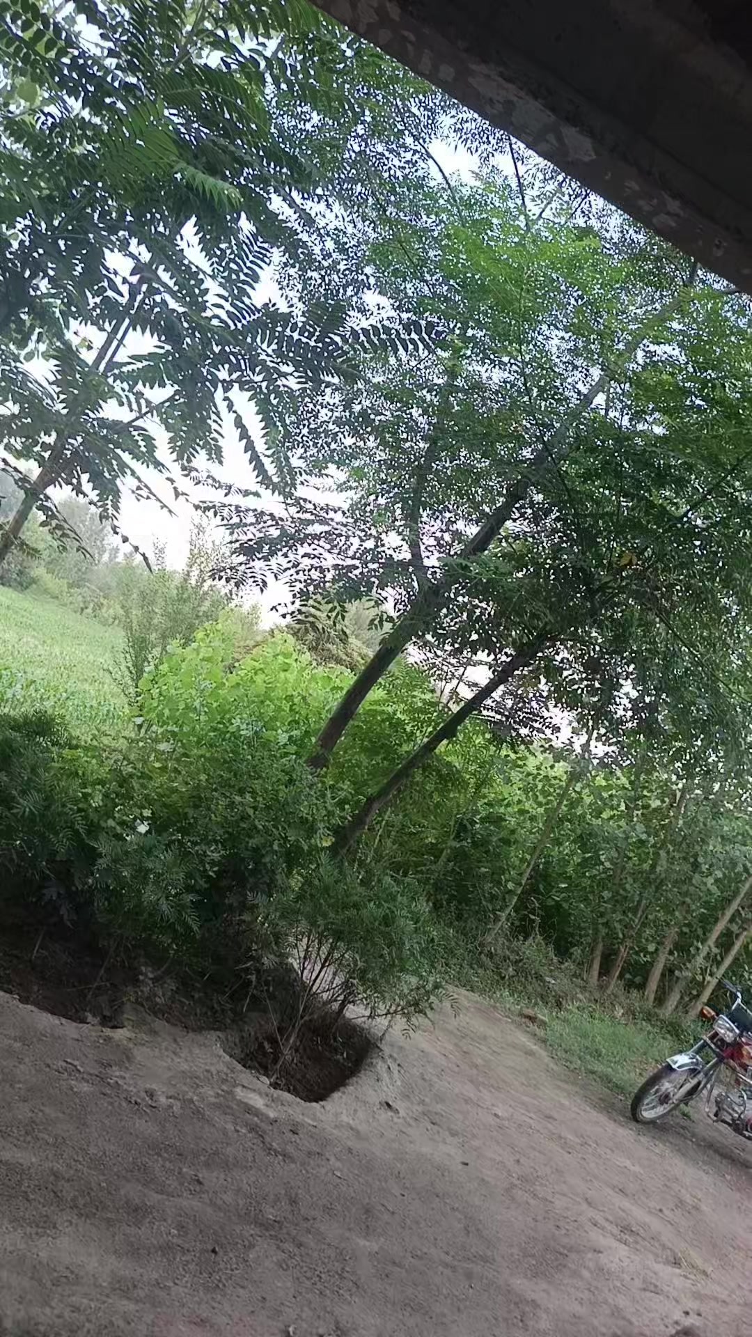 @Mian shahid ullah jan