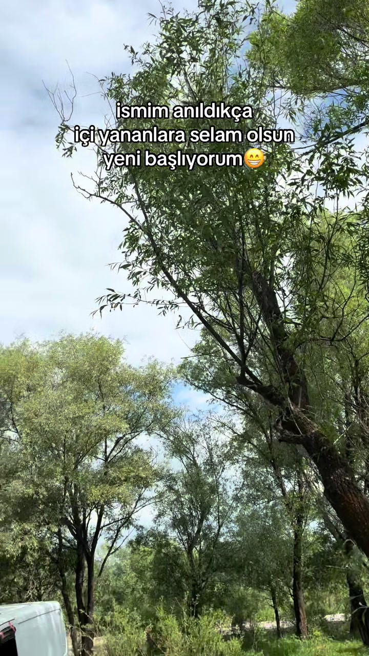@İshak yalur