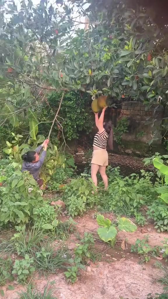 @Phạm Văn Thảo