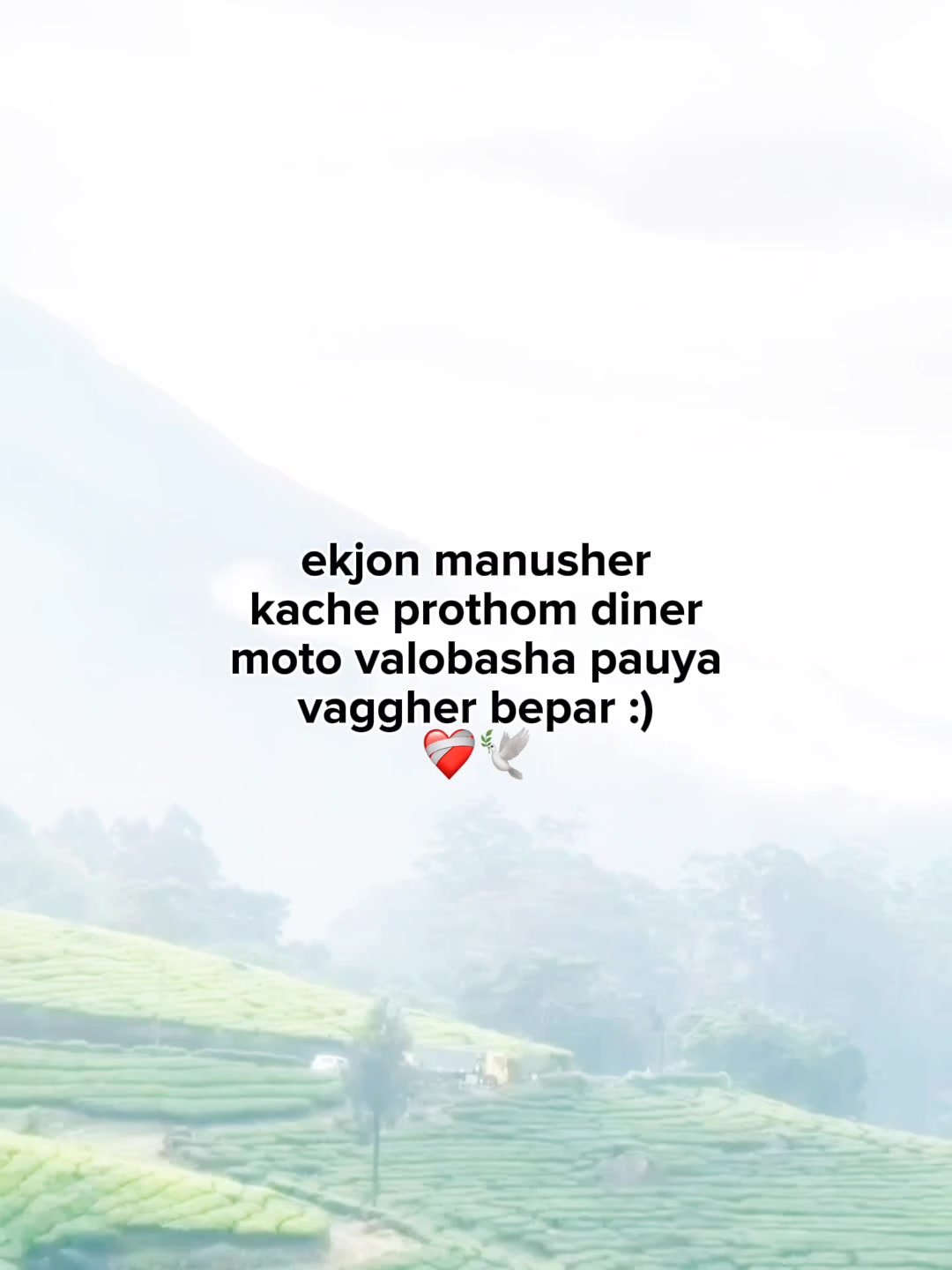 @๐
๐๐๐_๐๐๐๐๐