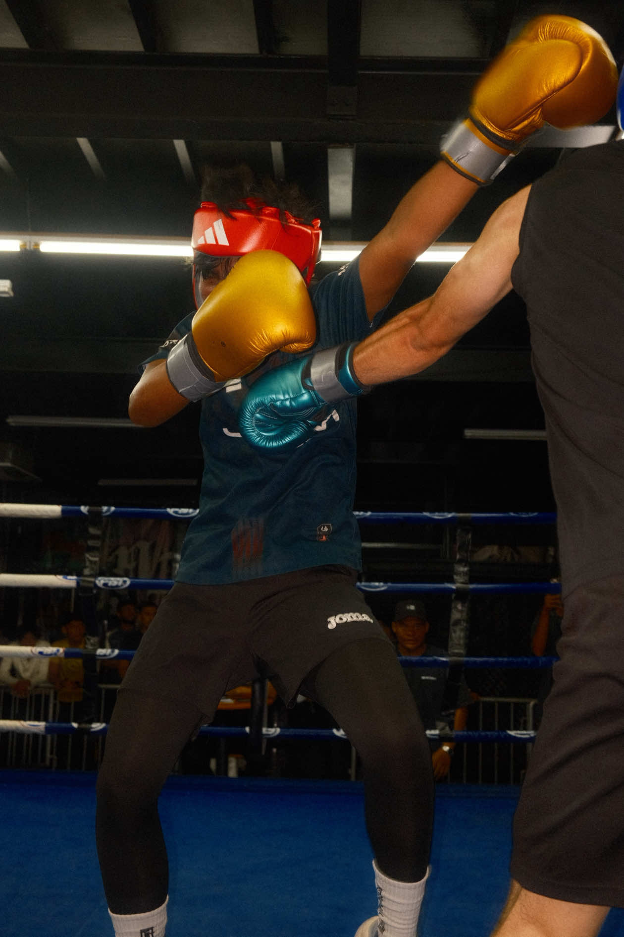 @Malaysia Fight League