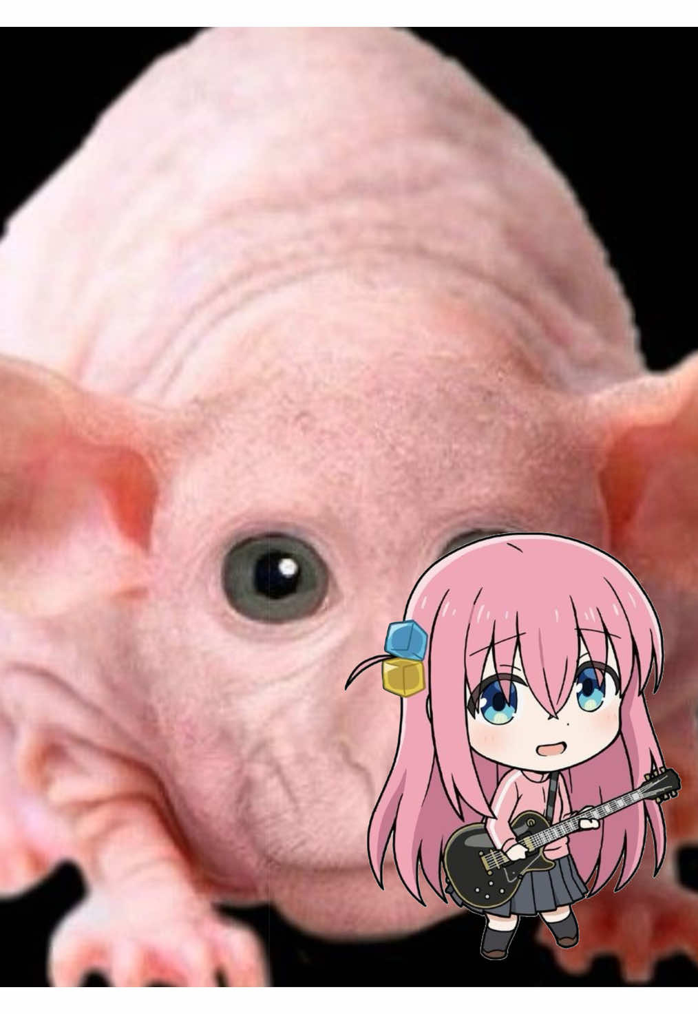 @˚.⋆꒰১ Sabrina ໒꒱⋆.˚