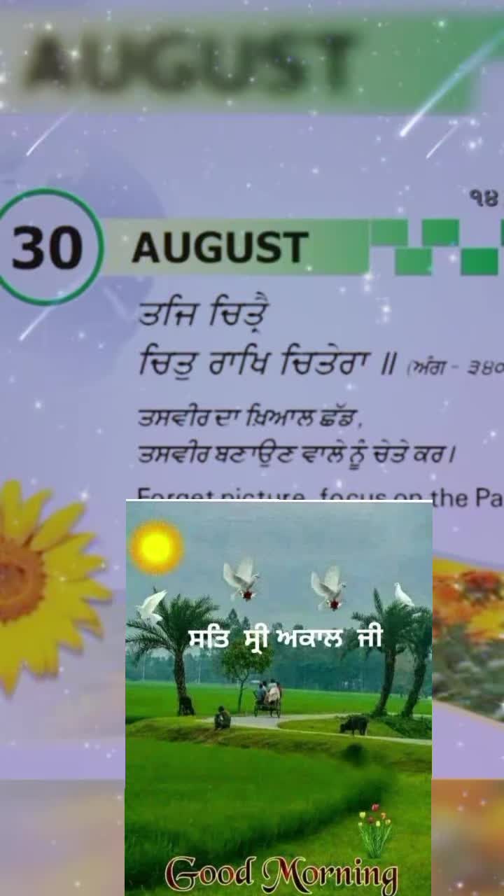 @Nagra PB 06