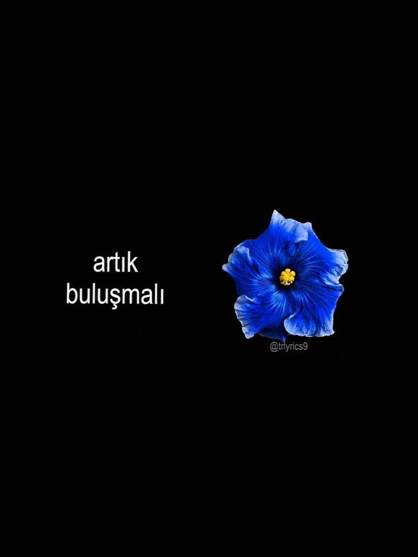 @𝙏𝙍>𝙡𝙮𝙧𝙞𝙘𝙨