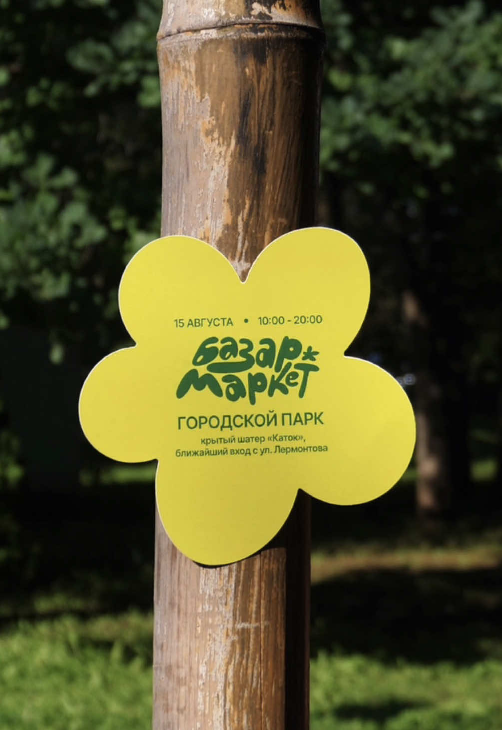@Спот Альмет