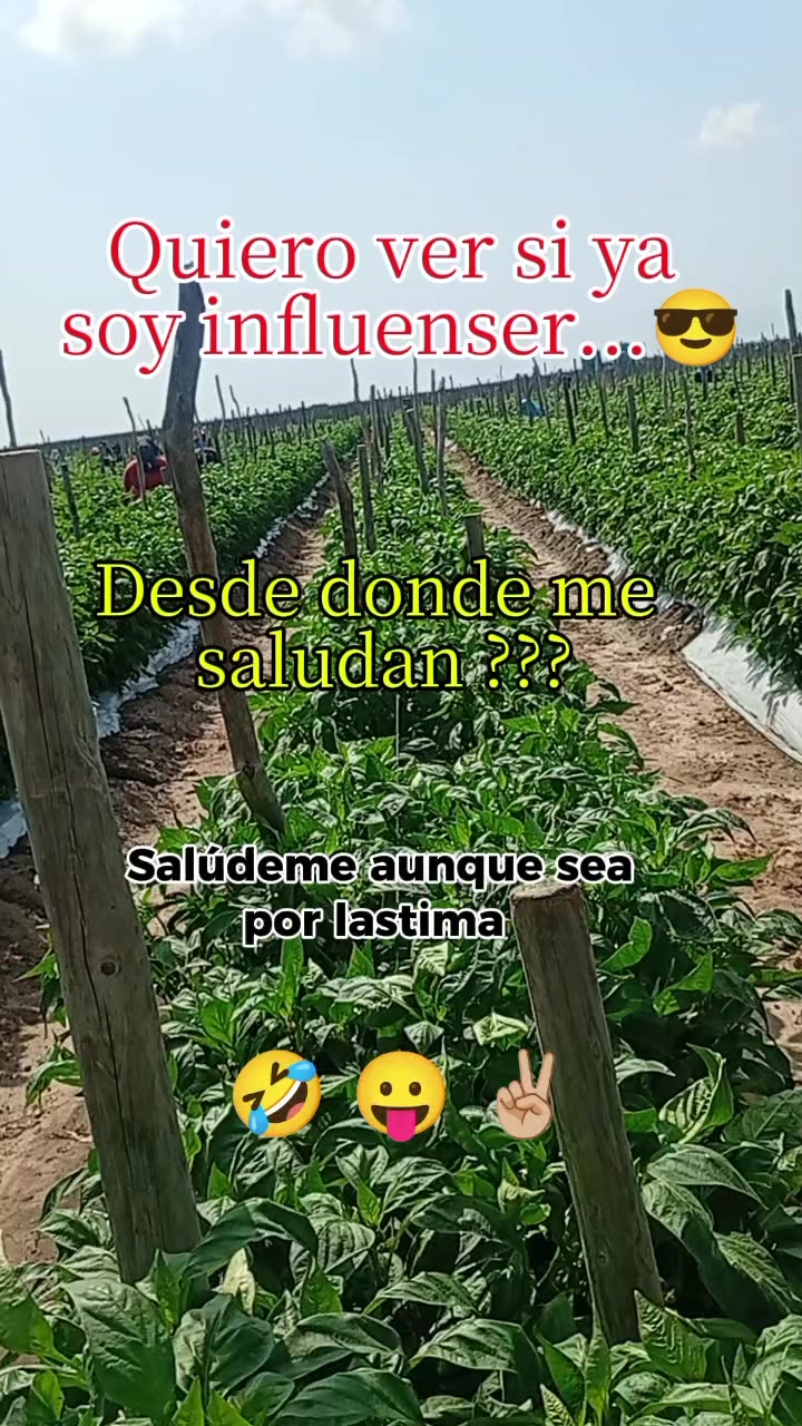 @MerlysGS