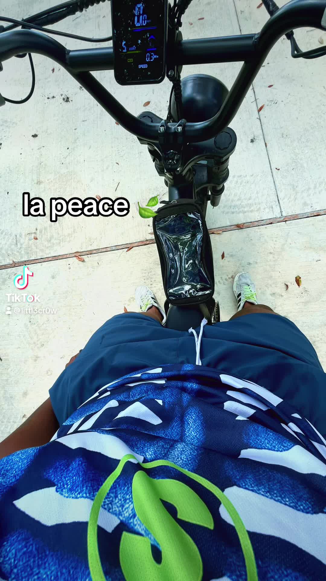 @scenebikelife_