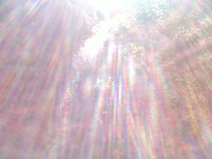@mari ₍^. .^₎Ⳋ⋆˙⟡
