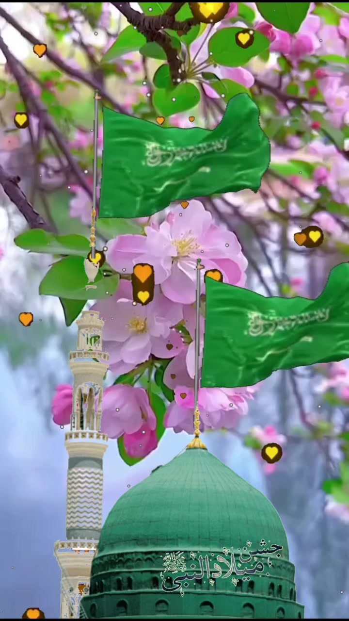 @anmolpunchi47